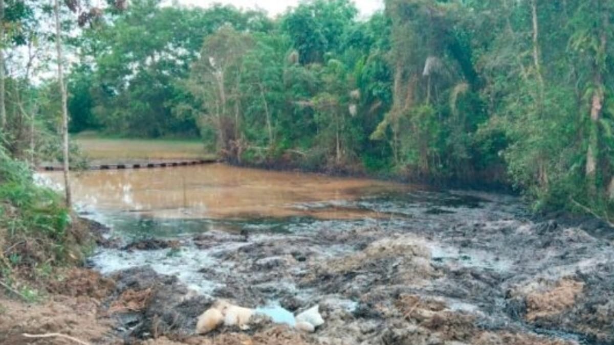Tumpahan Limbah Minyak Pertamina Kembali Cemari Rawa dan Kebun Warga, Aktivis Lingkunan: DLH PALI Bungkam, Gakum KLHK Masih Diam