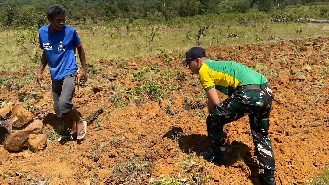 Satgas Yonarmed 12 Kostrad Perkuat Ketahanan Pangan Warga Perbatasan