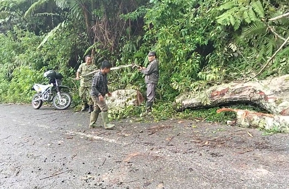 Anggota Kodim 0106/ Ateng Gerak Cepat Atasi Pohon Tumbang Di Ruas Jalan Jagong Takengon.