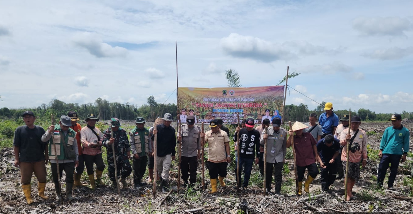 Lahan 2 Hektar di Abab Dimanfaatkan untuk Penanaman Jagung, Polisi Lakukan Pendampingan